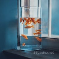 Người dùng Mai Xuân Trang